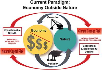 Toward a Nature-Based Economy